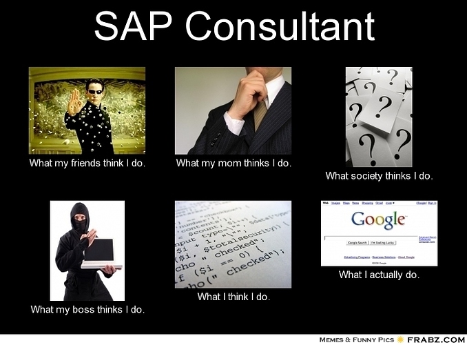 frabz-SAP-Consultant-What-my-friends-think-I-do-What-my-mom-thinks-I-d-705706