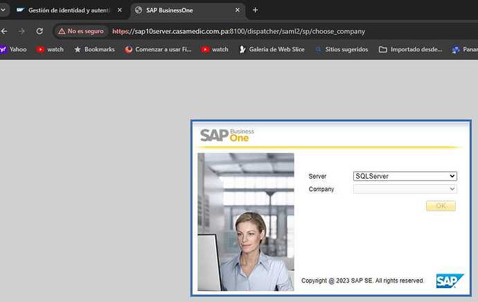 No aparecen las BD en sap web