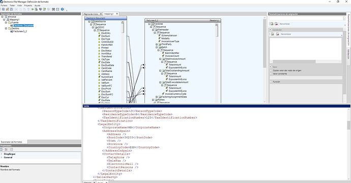 Electronic File Manager _Definicion de formato