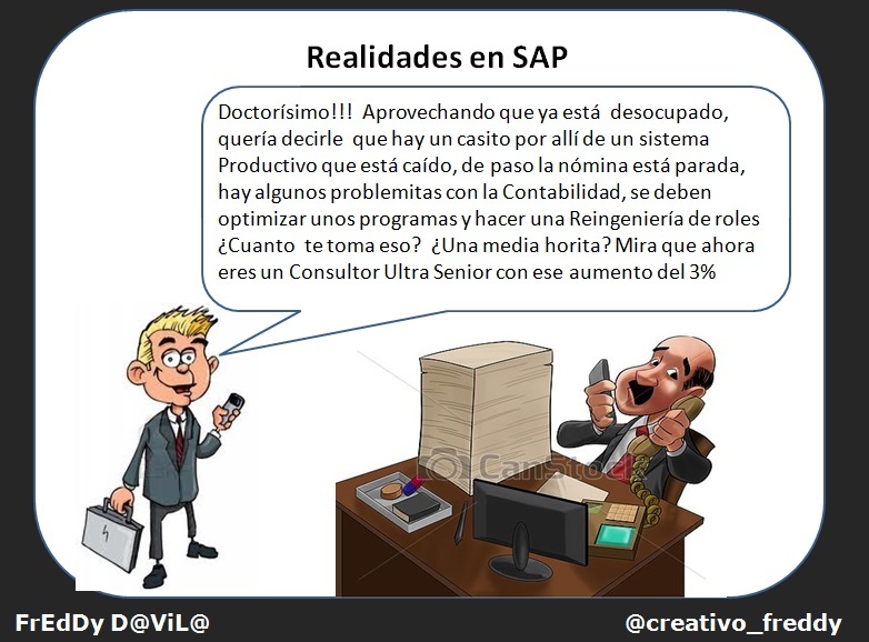 Realidades en SAP Consultor Full.jpg