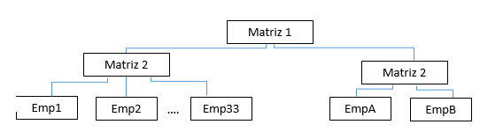 Matriz organizacional SAP Business One - Consultoria-SAP