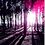 Fnni_Coconut